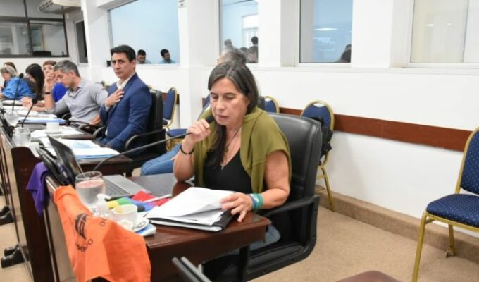 PROVINCIA DE CHACO: Se crea el «Servicio de Acceso de la Ciudadana a Normas en Lenguaje Claro»